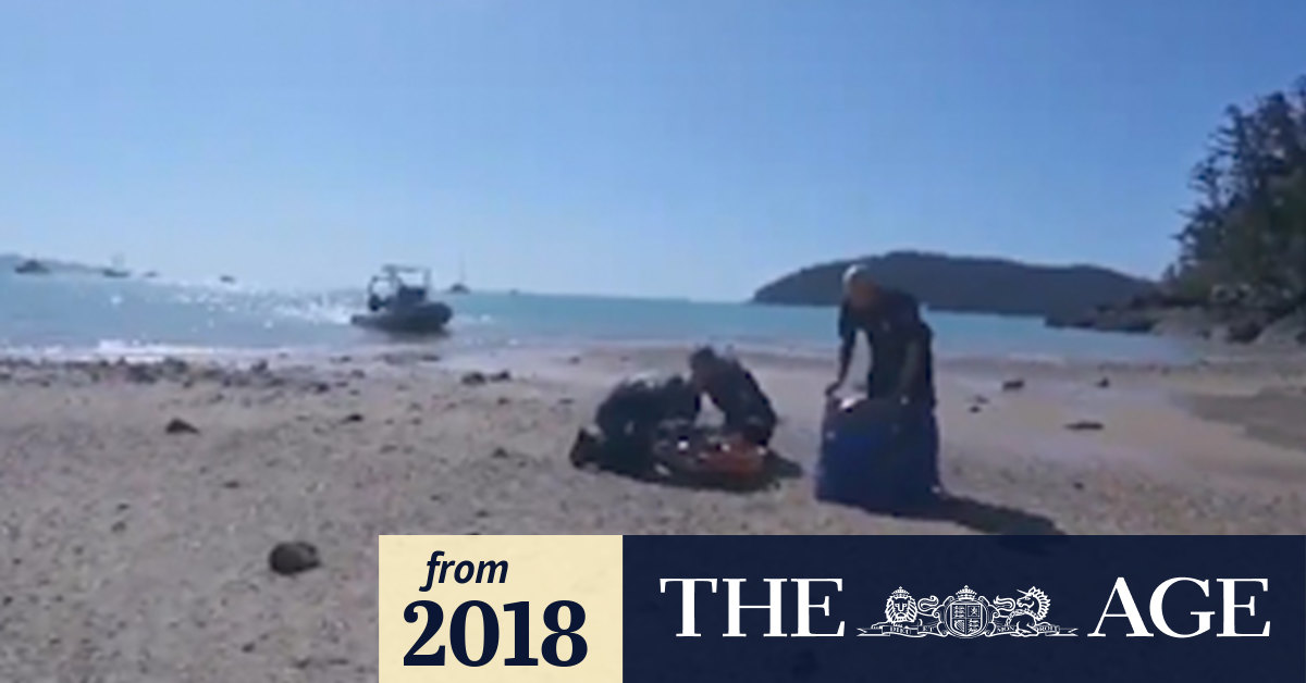 Video GoPro captures rescue of girl bitten by shark